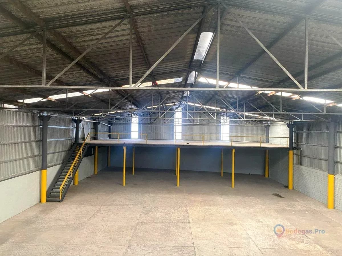 Miniatura 13